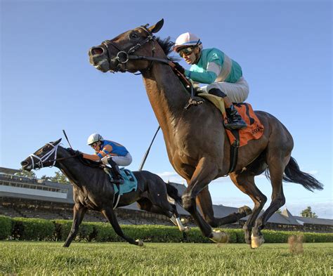 zulu sure wins|Zulu Kingdom Wins Spa's With Anticipation, Gives Prat Record.